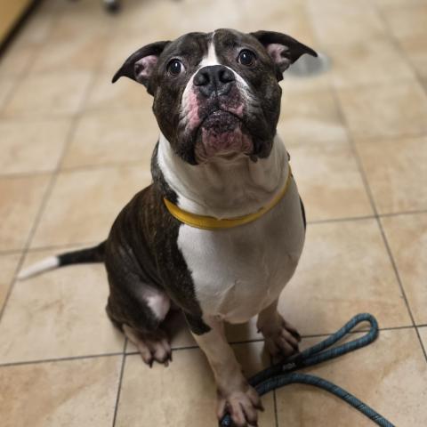 Photo for 155464 [Wilbur]