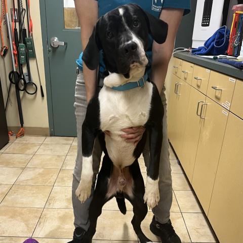 Photo for 155530 [Meyers]