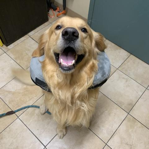 Photo for 155631 [Orville]