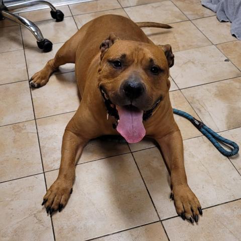 Photo for 155667 [Gumbo]