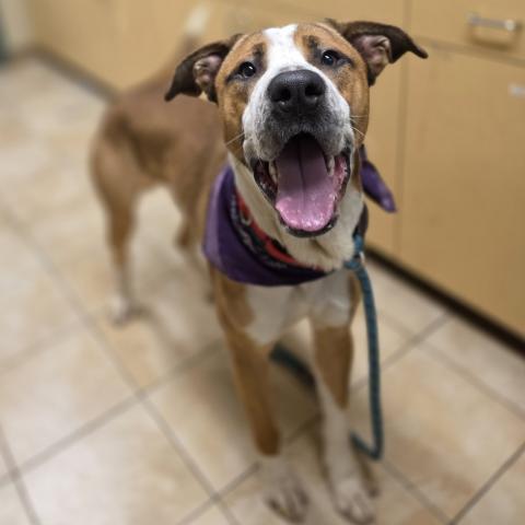 Photo for 155669 [Clyde]