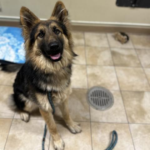 Photo for 155682 [Tully]