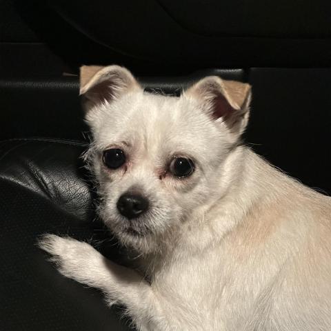 Photo for 155709 [fr155709]