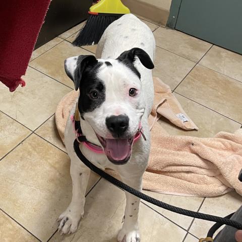 Photo for 155716 [Millie]