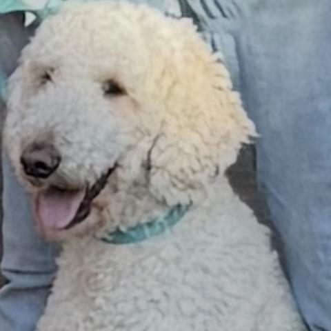 Photo for 155758 [Nova]