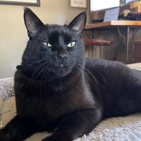 Photo for 155766 [Miller]