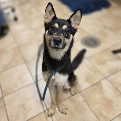 Photo for 155784 [Tutu]