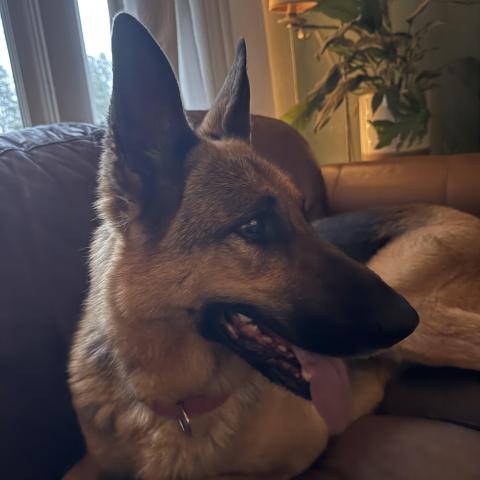 Photo for 155818 [fr155818]