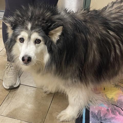 Photo for 155857 [Alaska]