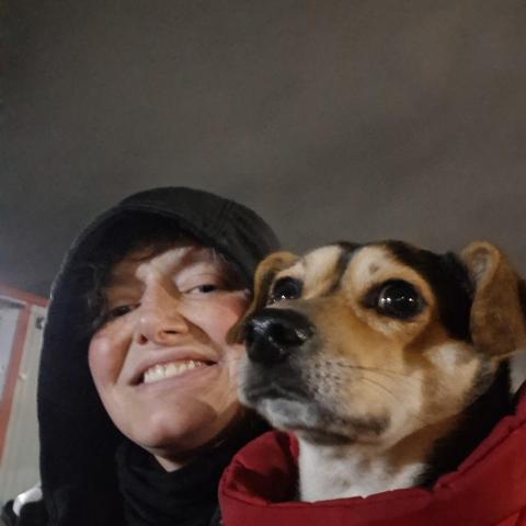 Photo for 155884 [Howie or Angelo ]