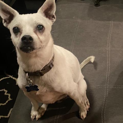 Photo for 155897 [Rowl]