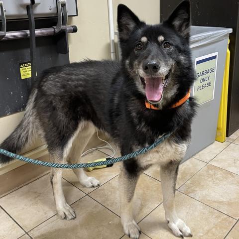 Photo for 155899 [Braille]