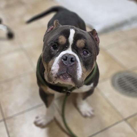 Photo for 155909 [Brad]