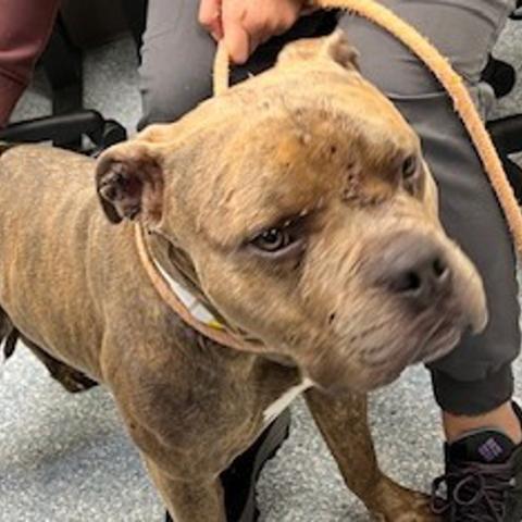 Photo for 155914 [Nino]