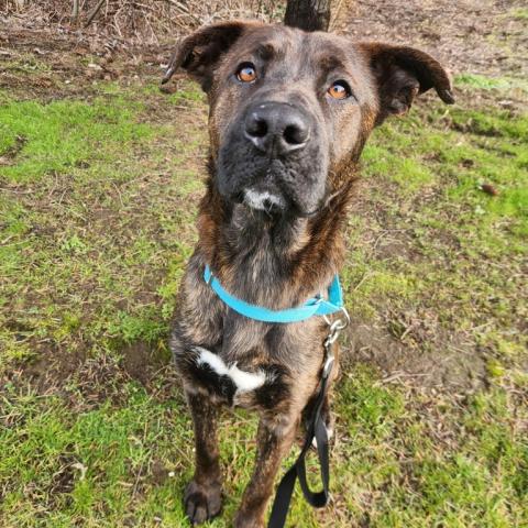 Photo for 155915 [Goliath]