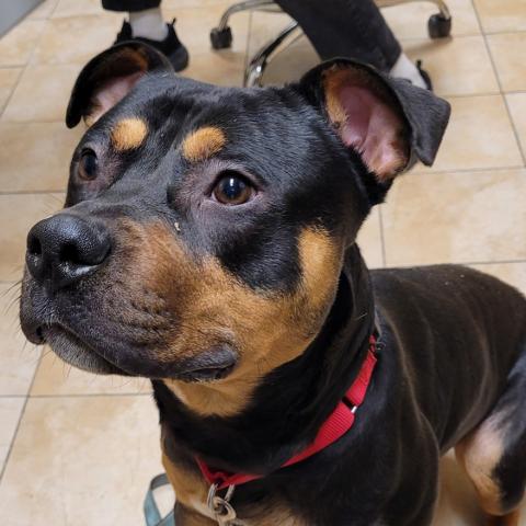 Photo for 155916 [Lugar]