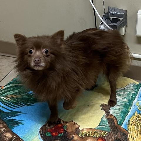 Photo for 155942 [Thicket]