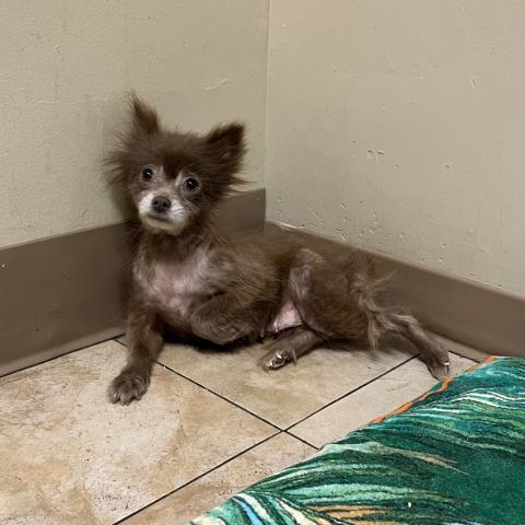 Photo for 155943 [Thorn]