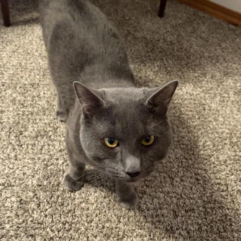 Photo for 155957 [North Star]