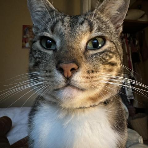 Photo for 155978 [Neo]