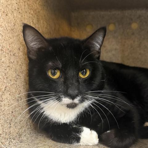 Photo for 156048 [Epsilon]