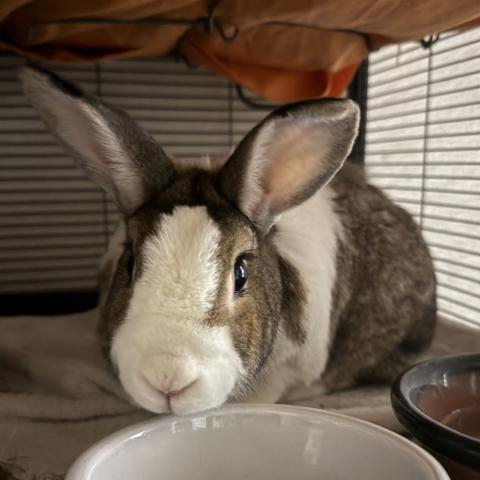 Photo for 156073 [Bill]