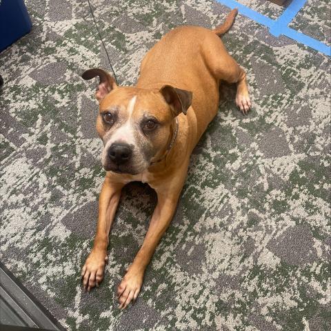 Photo for 156077 [fr156077]