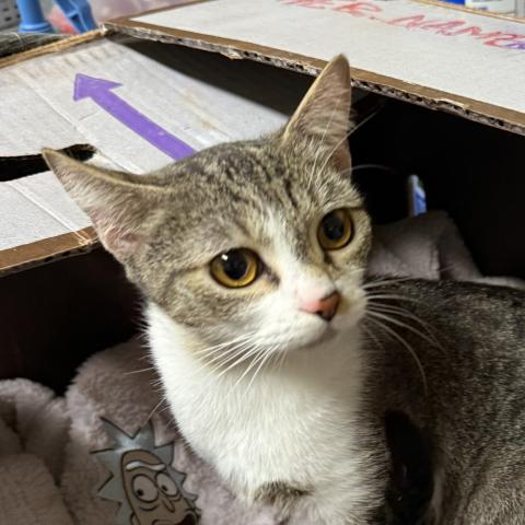 Photo for 156083 [Sophia]