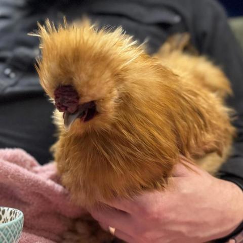 Photo for 156099 [380485]