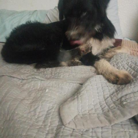 Photo for 156107 [Baby girl]