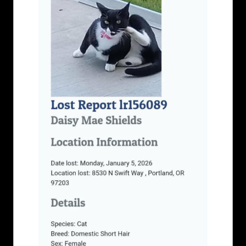 Photo for 156113 [Daisy Shields ]