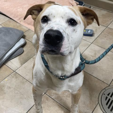 Photo for 156122 [Mr. Valentine]