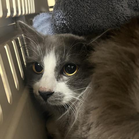 Photo for 156136 [Miney]