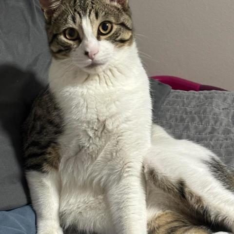 Photo for 156185 [Kefer]