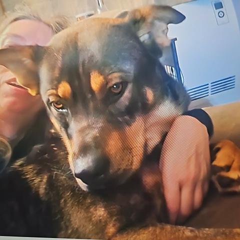 Photo for 156187 [Hel]