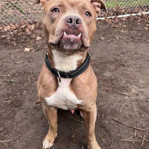 Photo for 156190 [Dizzy]