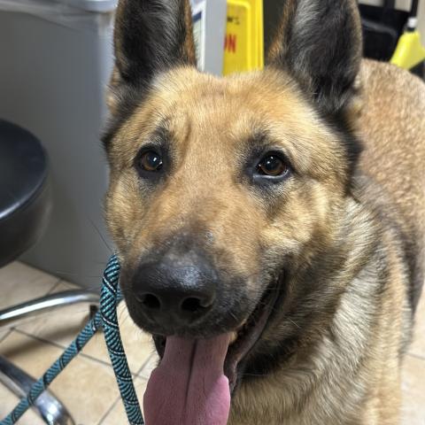 Photo for 156205 [Riggs]