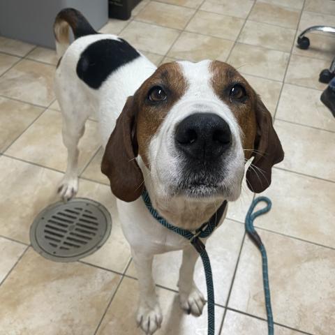 Photo for 156248 [Rudolph]