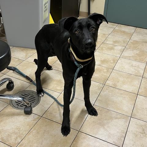 Photo for 156251 [Fergalicious]