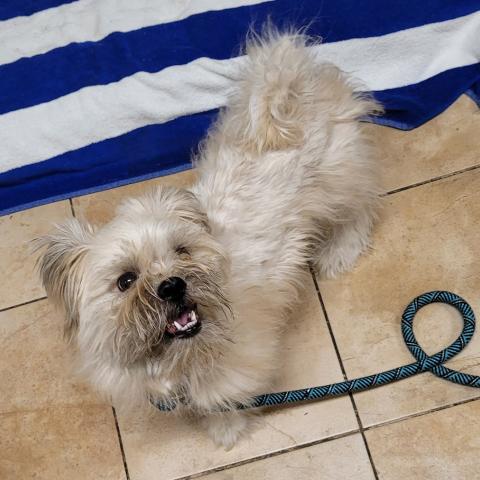 Photo for 156264 [Velo]