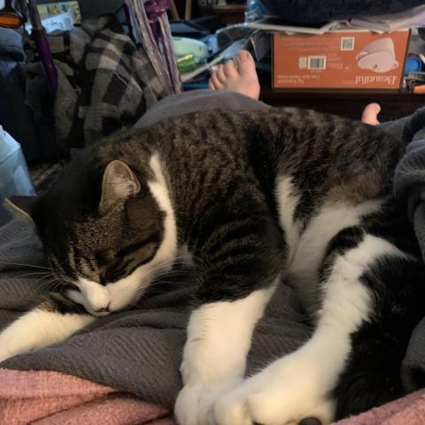 Photo for 156300 [Bod]