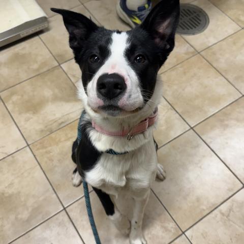 Photo for 156318 [Casey]