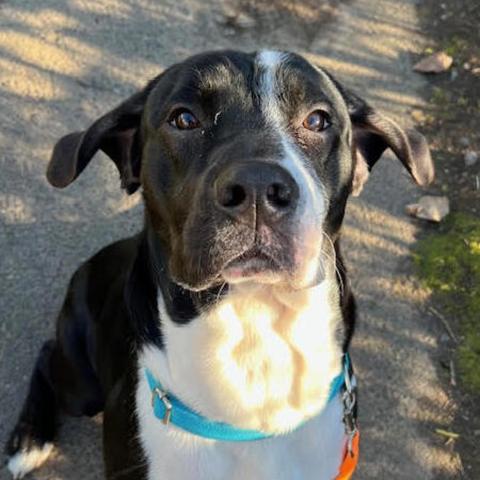 Photo for 156350 [Meyers]