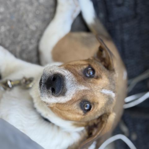 Photo for 156359 [Thor]