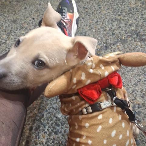 Photo for 156373 [Stazia]