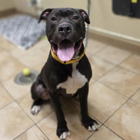 Photo for 156376 [Magee]