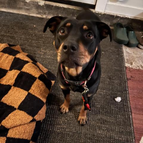 Photo for 156394 [fr156394]