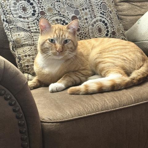 Photo for 156396 [Jasper ]