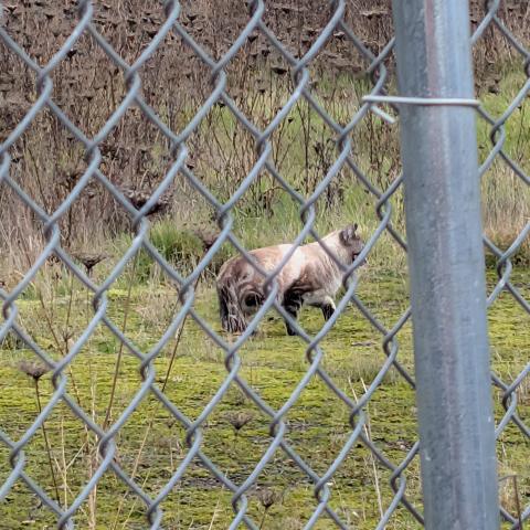 Photo for 156415 [Unknown]