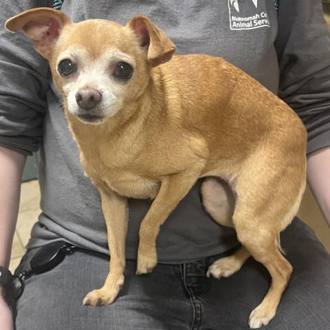 Photo for 156418 [Esmerelda]